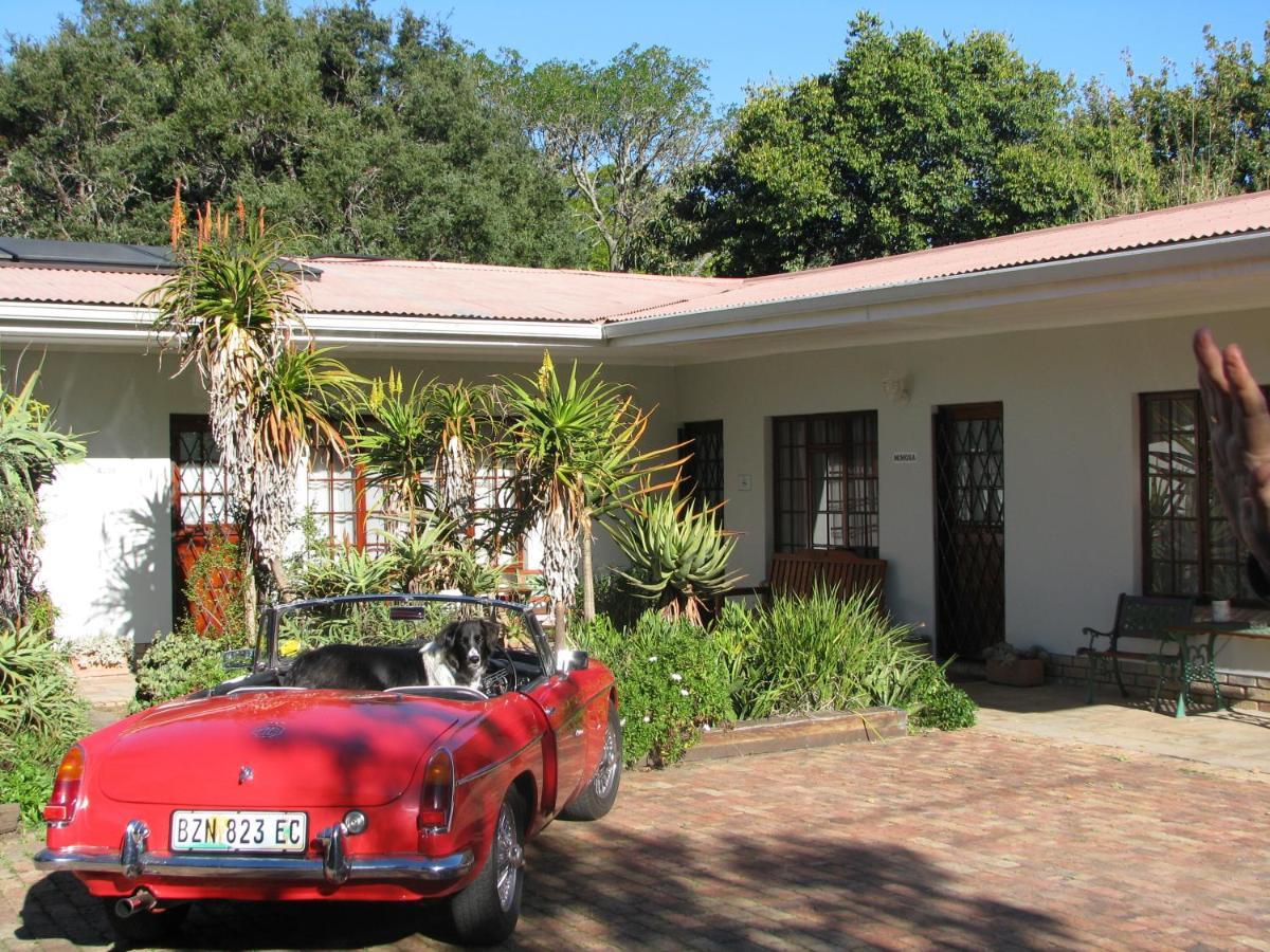 Kaiser'S B&B Grahamstown Kültér fotó